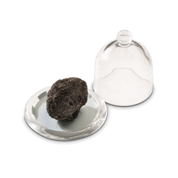 Cloche "Design" - immagine 3