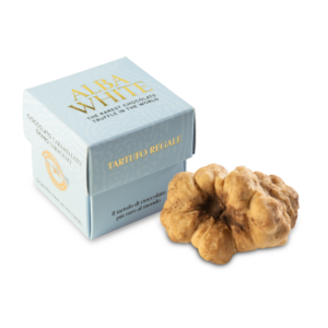 Box "Share" Alba White