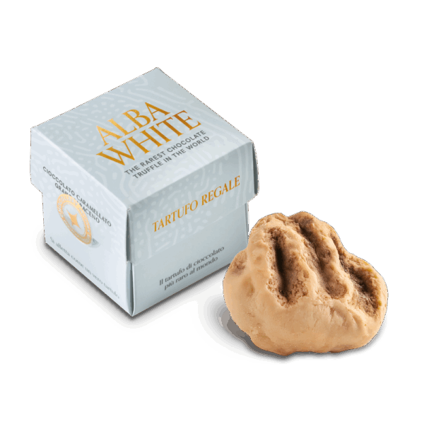 Box "Share" Alba White